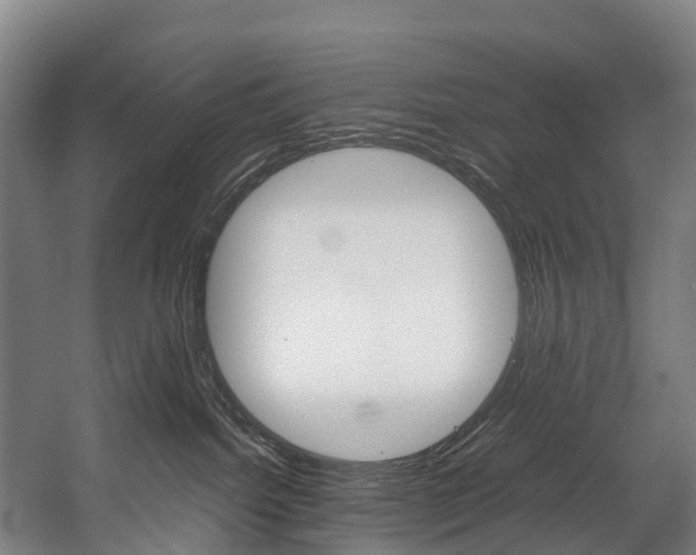 X0000058110092200509230831