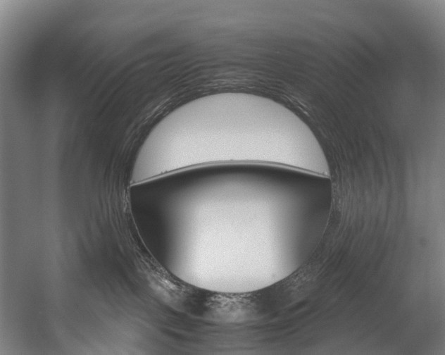X0000058110093200509230831