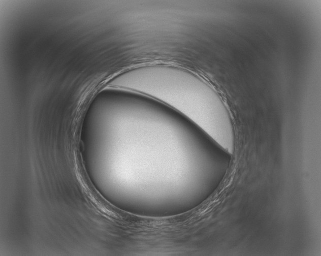 X0000058110097200509230831