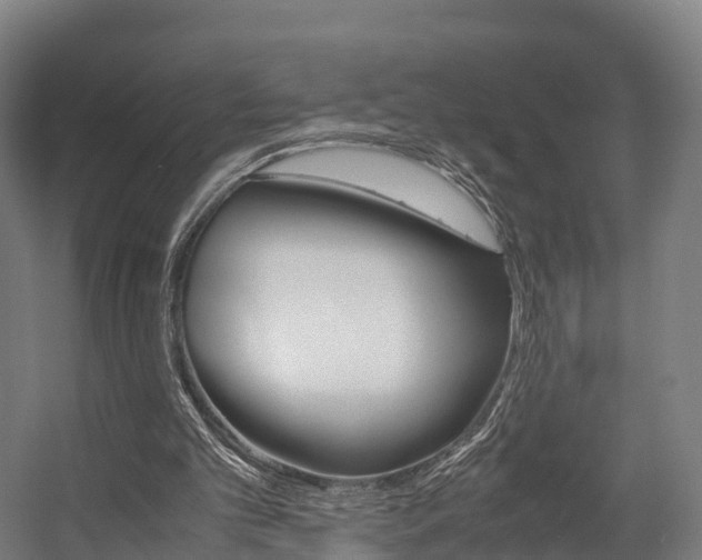 X0000058110101200509230830