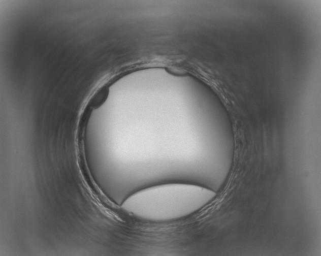 X0000058110102200509230830