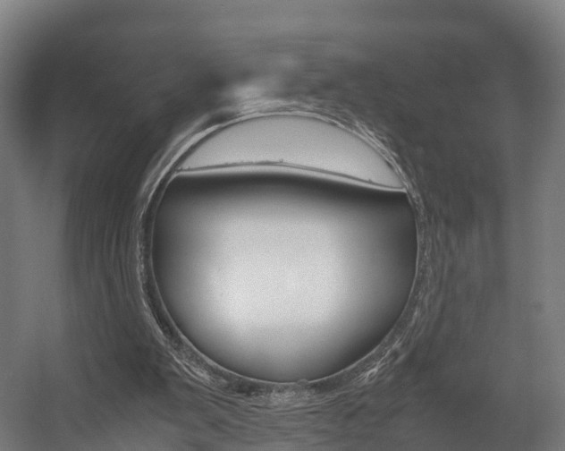 X0000058110103200509230830