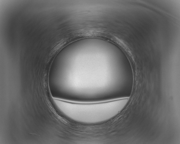 X0000058110105200509230830