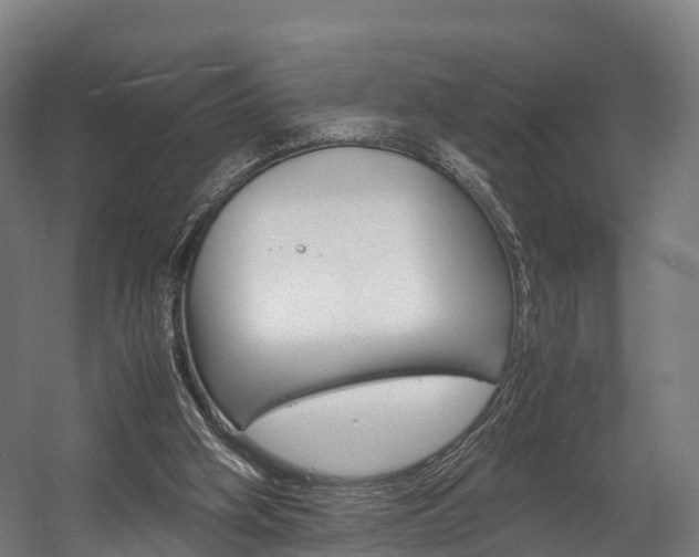 X0000058110106200509230830