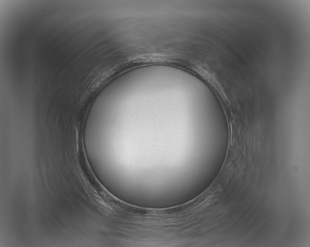 X0000058110109200509230830
