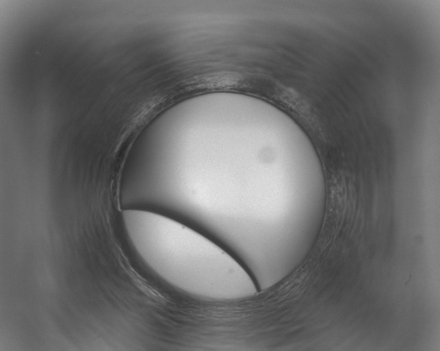 X0000058110110200509230830