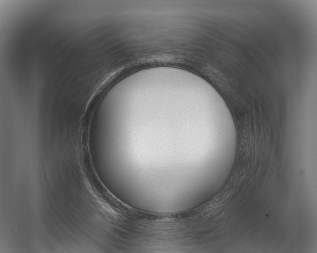 X0000058110112200509230830
