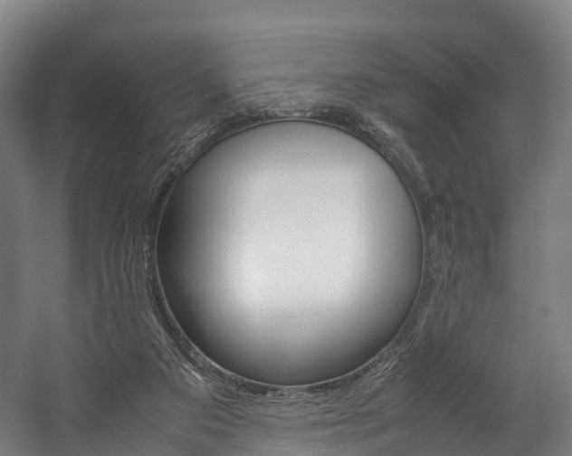 X0000058110113200509230830