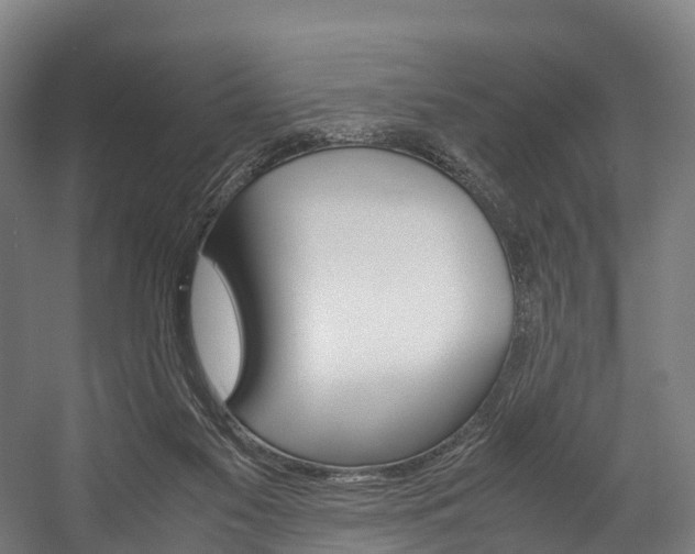 X0000058110117200509230830