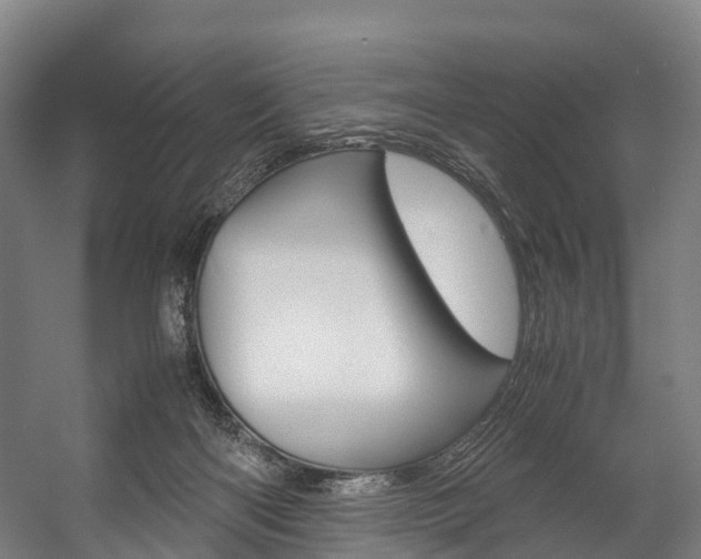X0000058110122200509230830