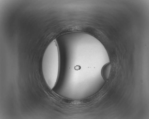 X0000058110123200509230830