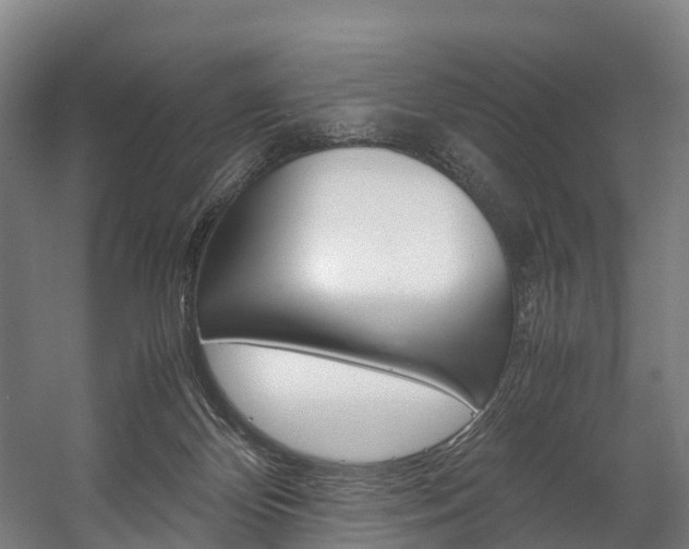 X0000058110124200509230830