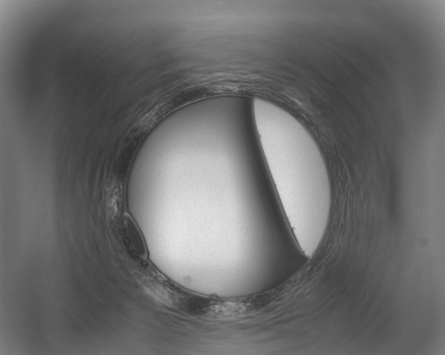 X0000058110125200509230830