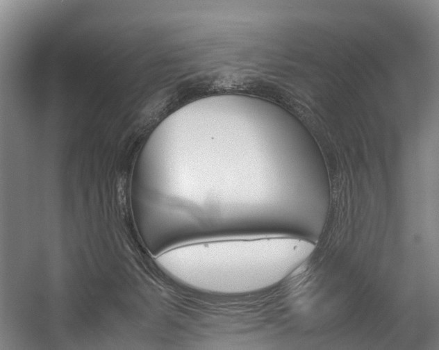 X0000058110127200509230830
