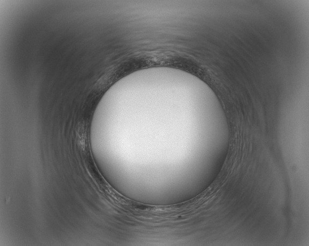 X0000058110129200509230830