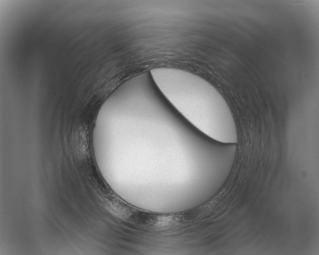 X0000058110130200509230830