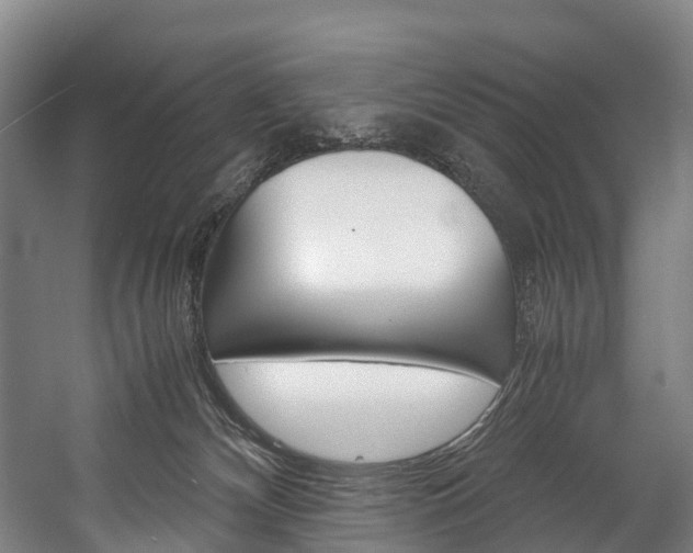 X0000058110132200509230830
