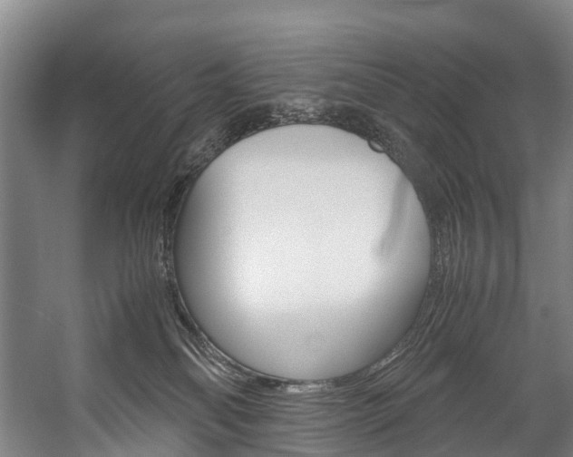 X0000058110134200509230830