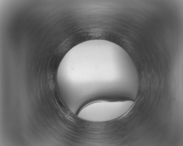 X0000058110136200509230830