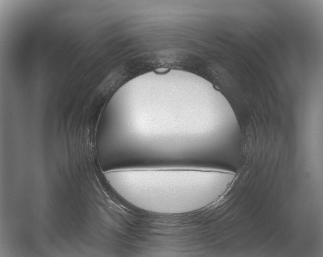 X0000058110140200509230830