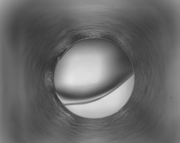X0000058110141200509230830