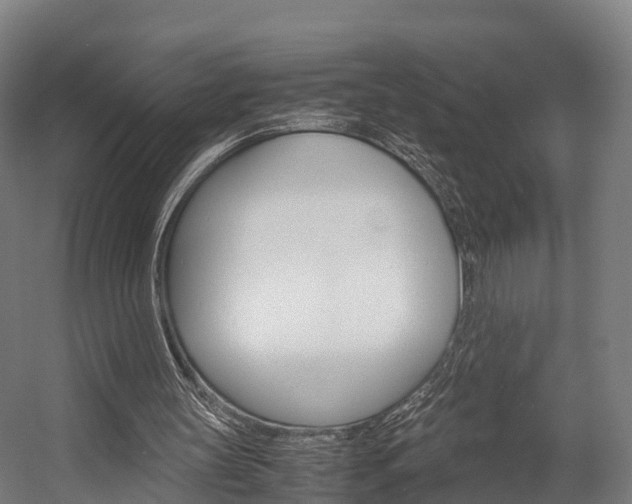 X0000058110147200509230829
