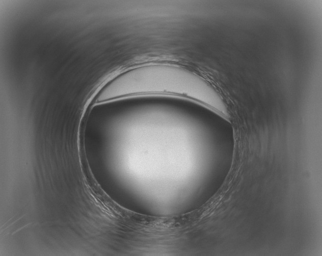 X0000058110148200509230829