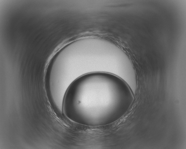 X0000058110150200509230829