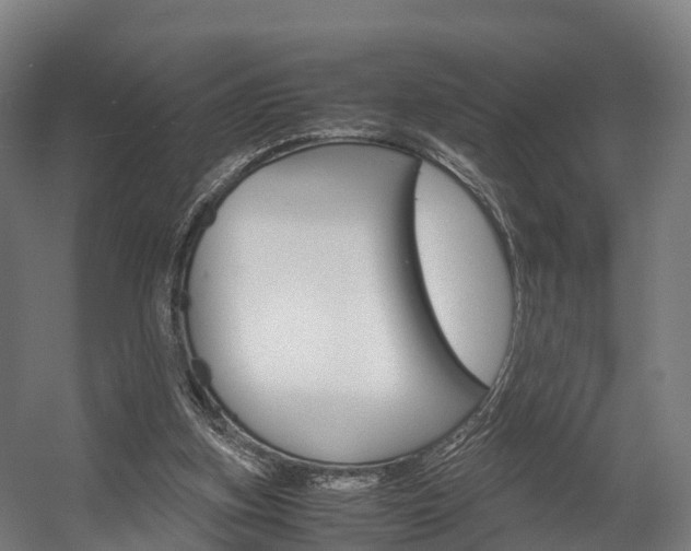 X0000058110155200509230829
