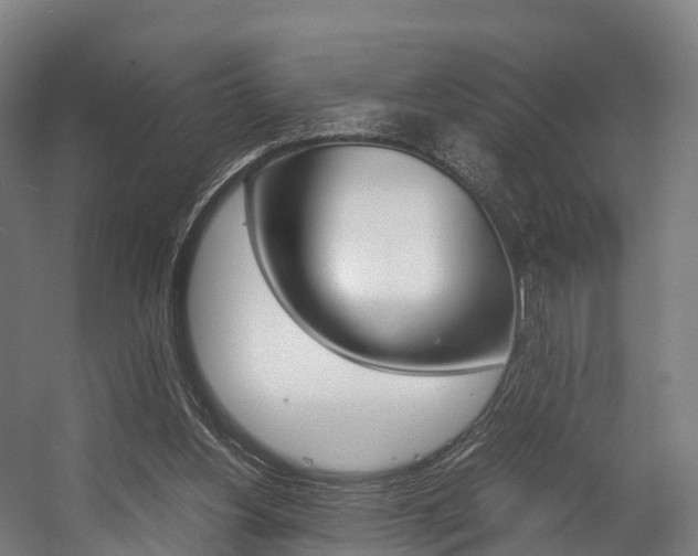 X0000058110156200509230829