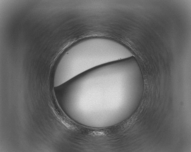 X0000058110159200509230829