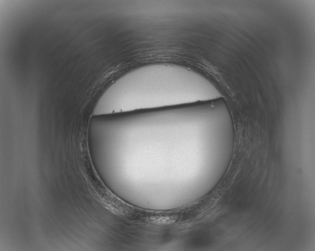 X0000058110161200509230829