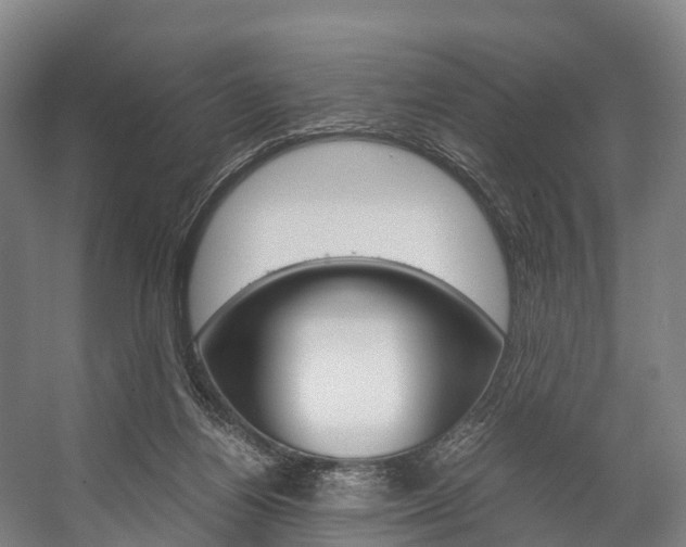 X0000058110164200509230829