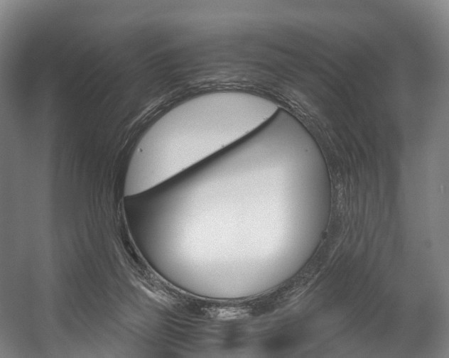 X0000058110165200509230829