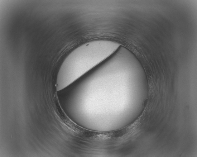 X0000058110166200509230829