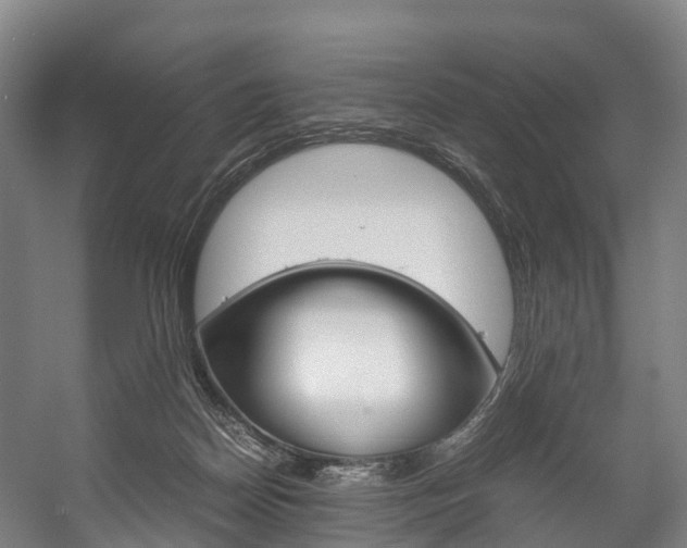 X0000058110170200509230829