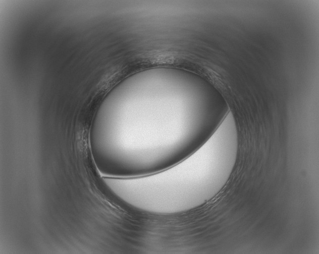 X0000058110172200509230829