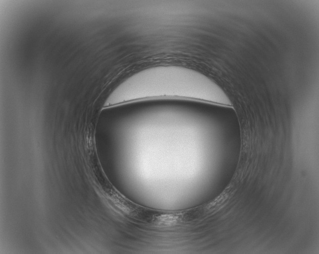 X0000058110176200509230829