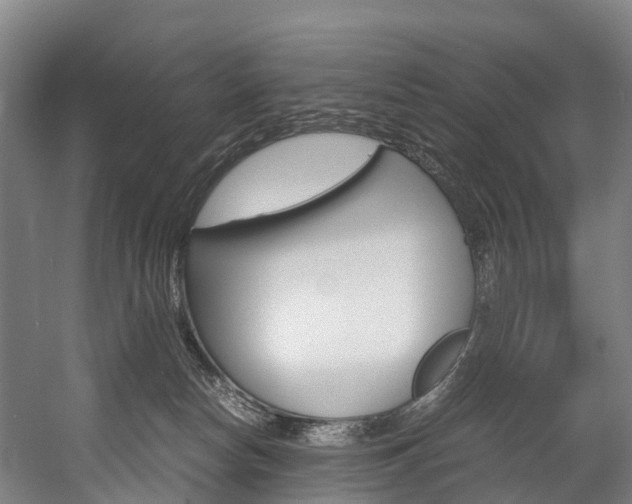 X0000058110178200509230829