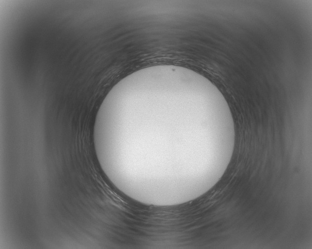 X0000058110185200509230830