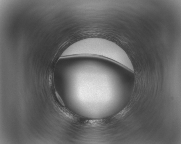X0000058110188200509230830