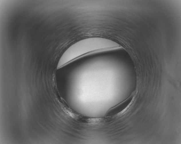 X0000058110192200509230830