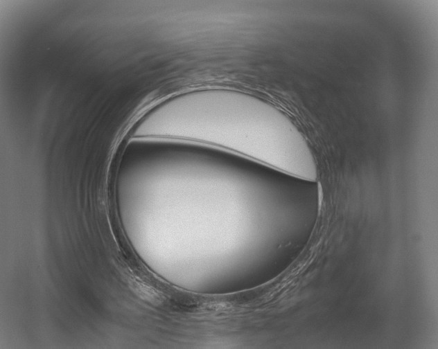 X0000058110195200509230829