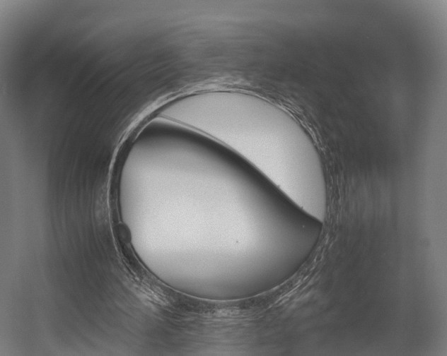 X0000058110196200509230829