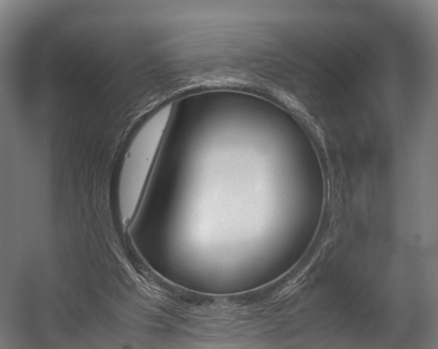 X0000058110201200509230829