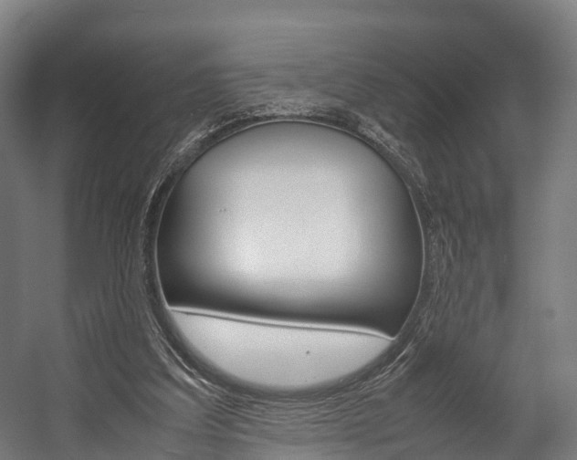 X0000058110203200509230829