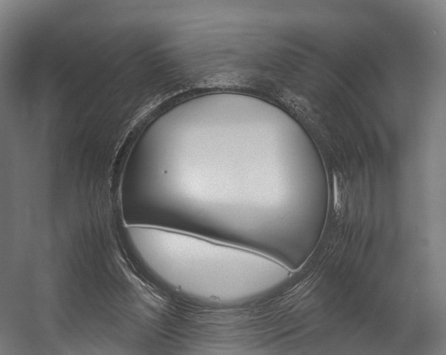 X0000058110204200509230829