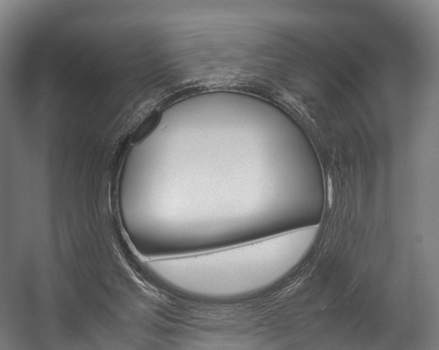 X0000058110205200509230829
