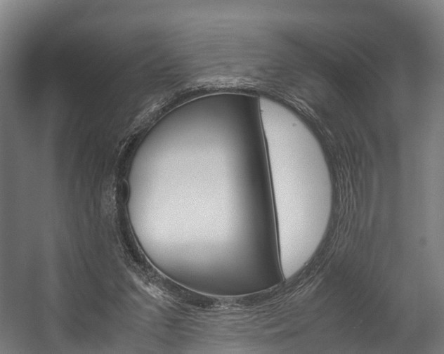 X0000058110207200509230829