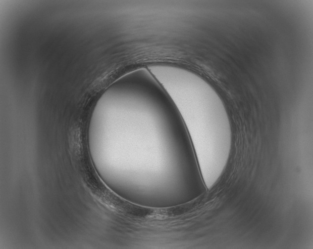 X0000058110211200509230829